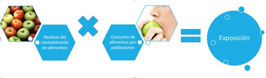 Esquema que muestra la exposición a contlimento, aminantes de la forma: Residuo del contaminante en el alimento, multiplicado por el consumo de ese a
