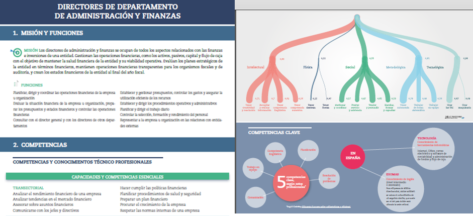 perfil ocupacional director departamento finanzas