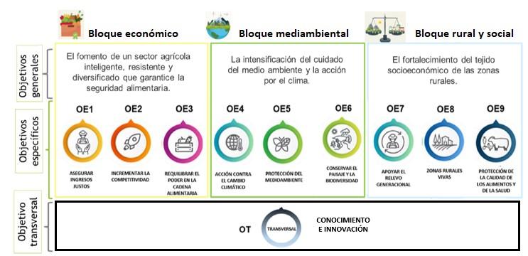 imagen-foto de los diferentes objetivos