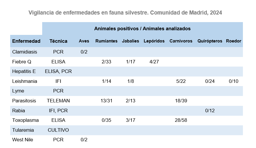 Vigilancia de enfermedades en fauna silvestre, Comunidad de Madrid, 2024