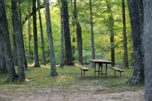 Mesa de picnic en un parque
