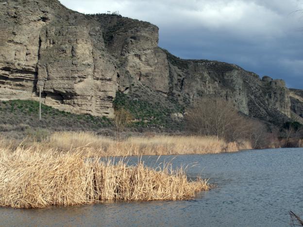 Parque Regional del Sureste_El Campillo