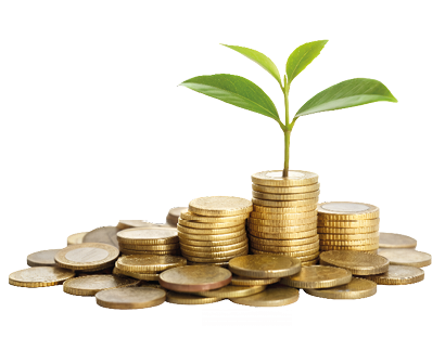 Imagen de planta creciendo sobre dinero
