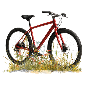 Imagen de bici en el medio natural