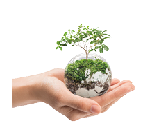 Imagen de mano sujetando planeta con árbol