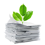 Imagen de planta creciendo sobre montón de folios