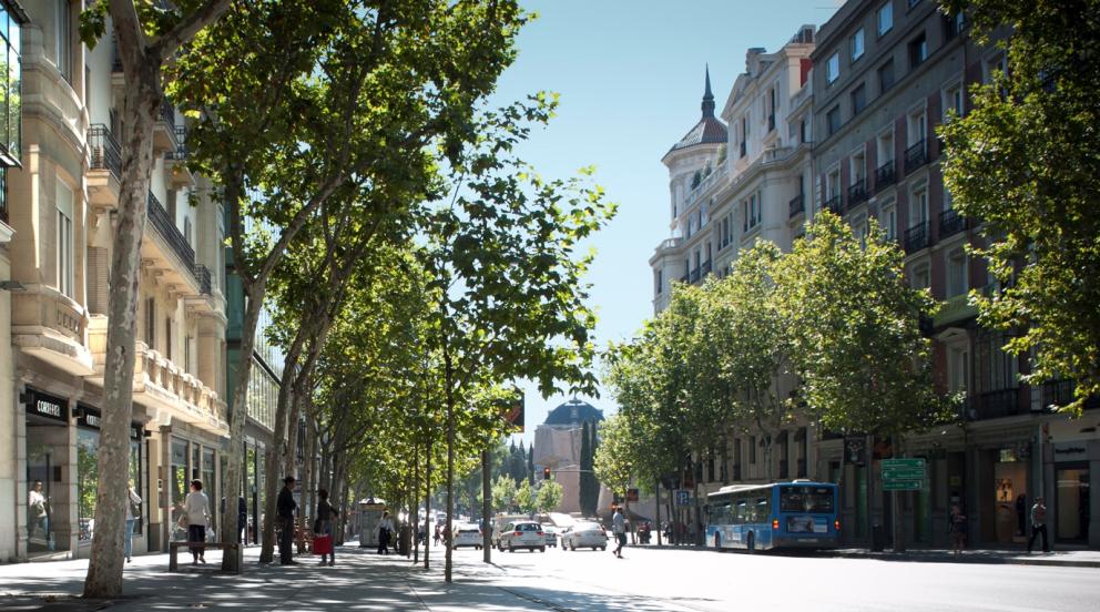 Calle de Madrid Calle de Madrid