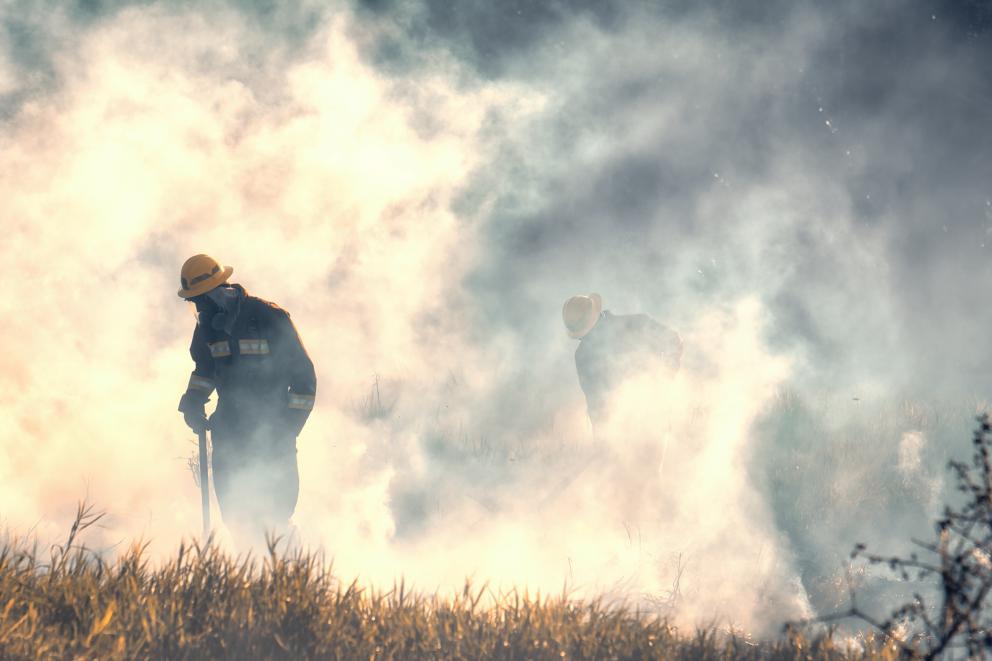 bomberos