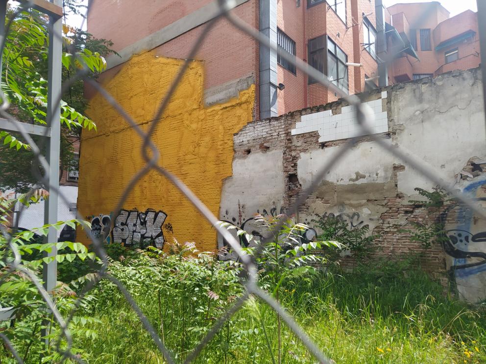 Vista de un solar vacío de construcciones y cubierto de vegetación