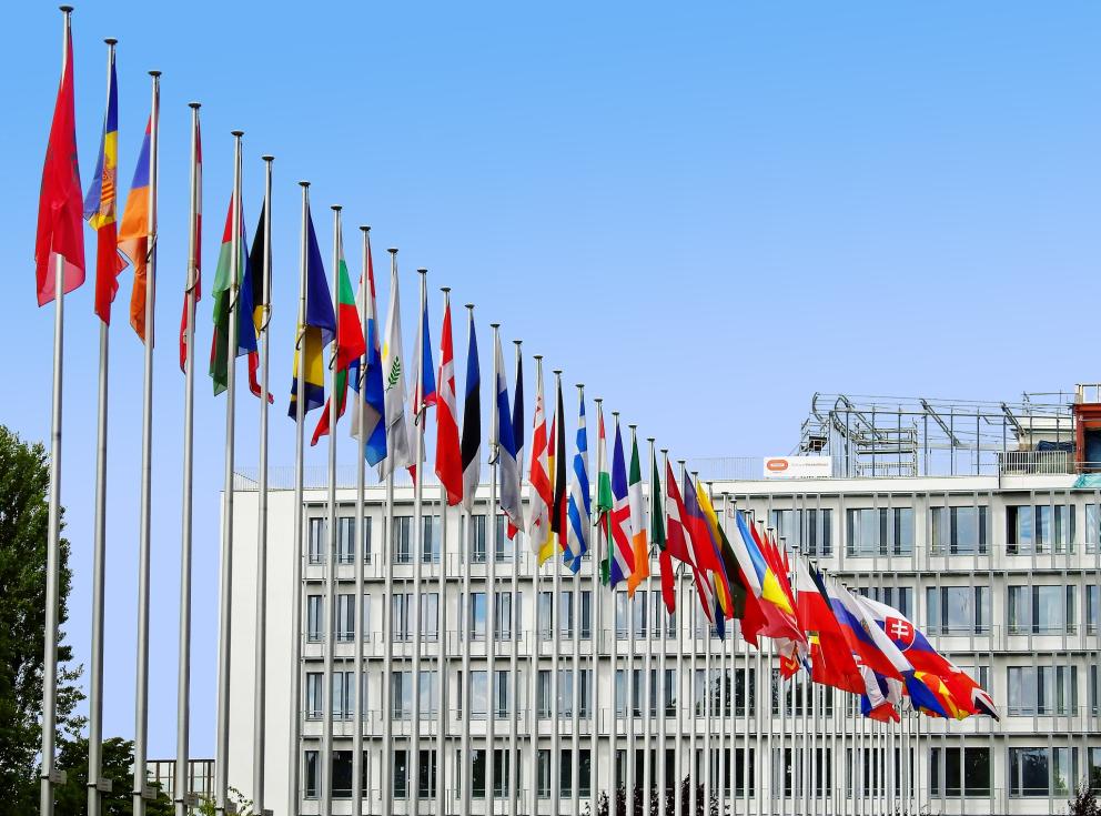 Proyectos europeos e internacionales