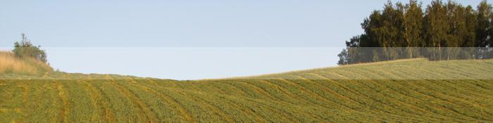 Campo de cultivo