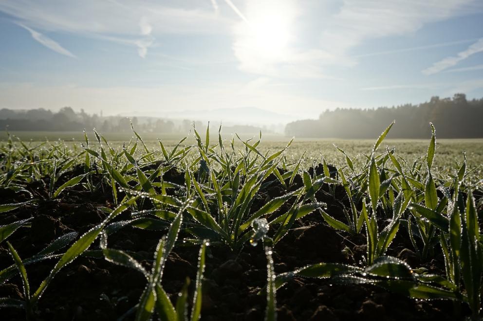 Solsticio invierno agricultura