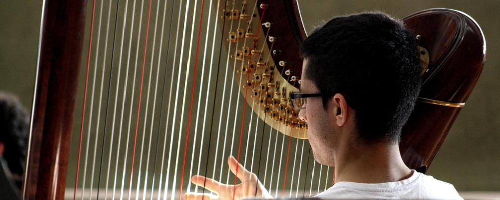 Joven músico de espaldas tocando el arpa