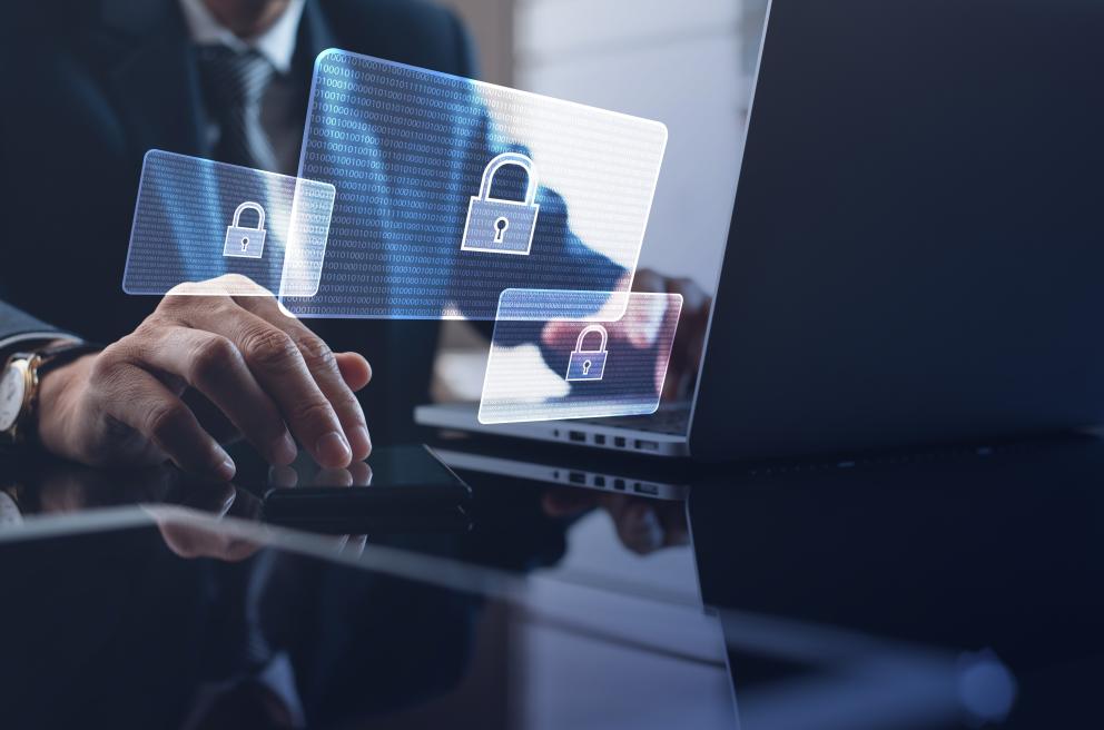 ciber delincuencia