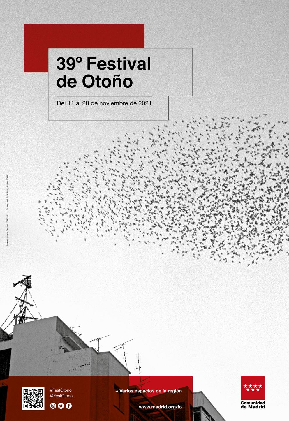 Fotografía en blanco y negro de un cielo y pájaros volando