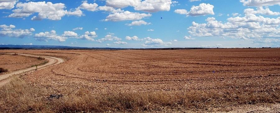 foto campo - horizonte