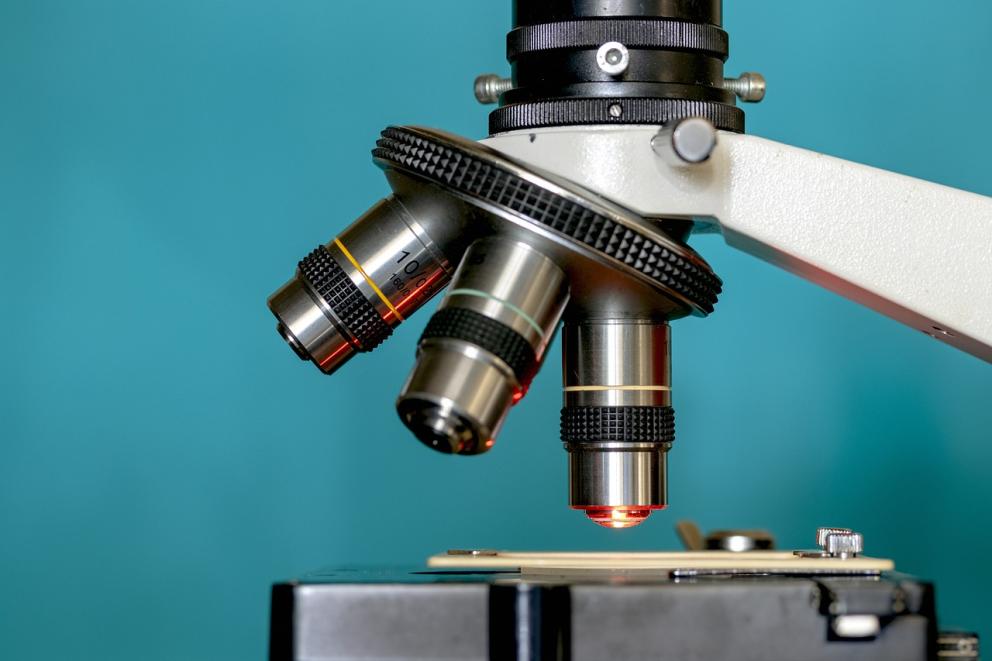 investigación en ganadería