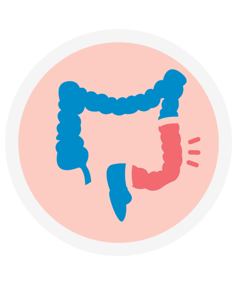 Imagen logo de colon en azul con una zona en rojo