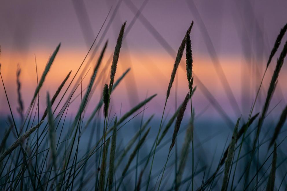 imagen de aterdecer