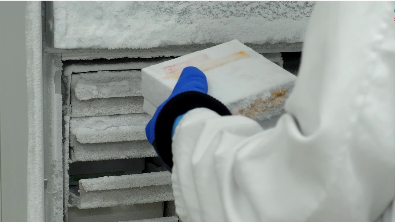 una mano con guante blanco metiendo una cajita en una nevera de laboratorio