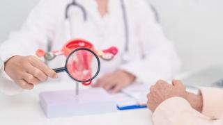 Mano de médico con lupa observando modelo de aparato ginecológico