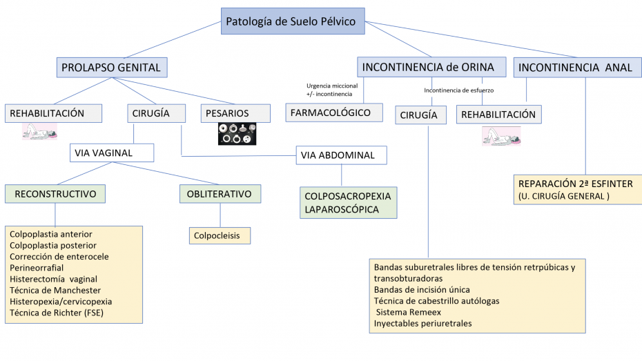 Algoritmo suelo pélvico