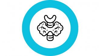 Icono de línea negra de un órgano con forma de mariposa sobre el esófago