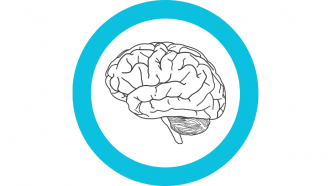 Icono de línea negra del cerebro dentro de un círculo azul