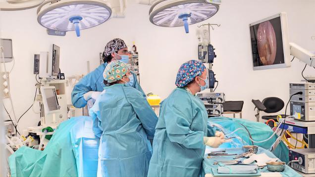 cirujanos y cirujanas en quirófano