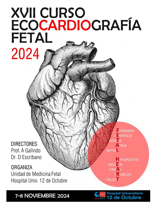 Cartel XVII curso ecocardiografía