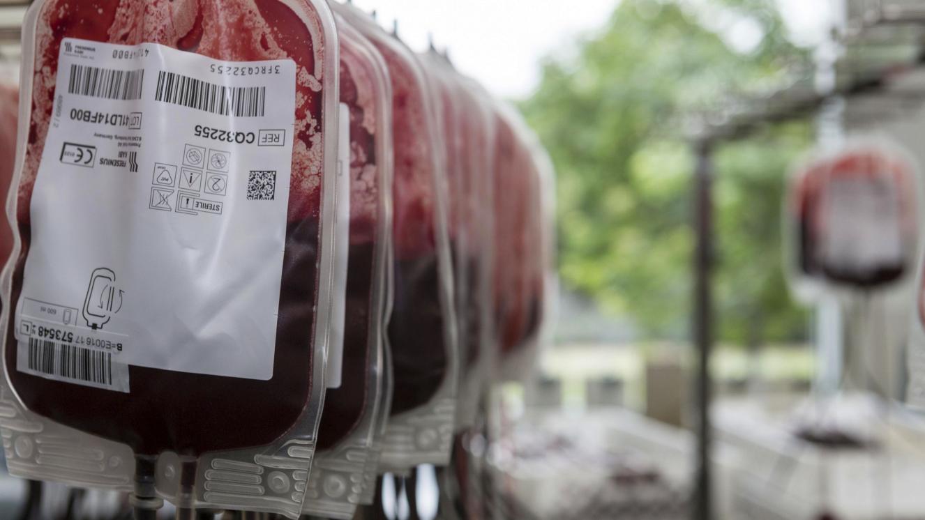 Bolsas de sangre colgadas en unos percheros