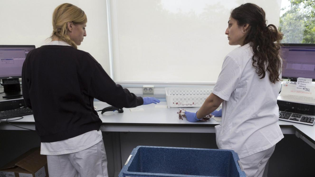 Personal preparando la distribución de sangre al lado de una nevera