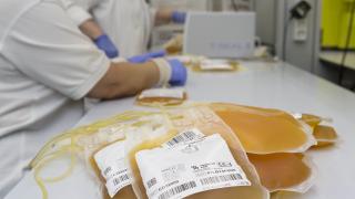 Bolsas de plasma sobre un mostrador y los brazos de una técnica