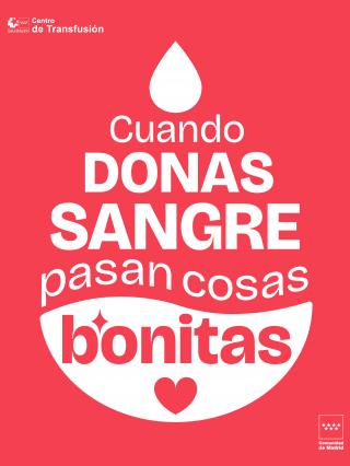 El club de las cosas bonitas