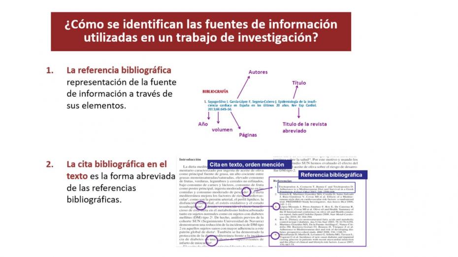 Identificación citas y referencias bibliográficas