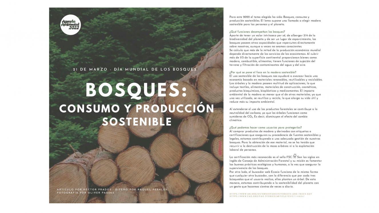 ARTÍCULO BOSQUES, 21 DE MARZO