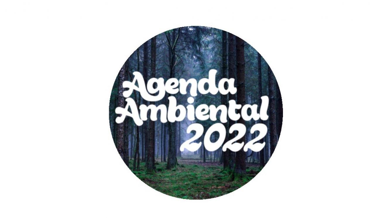 LOGOTIPO DÍA MUNDIAL DE LOS BOSQUES, 21 DE MARZO