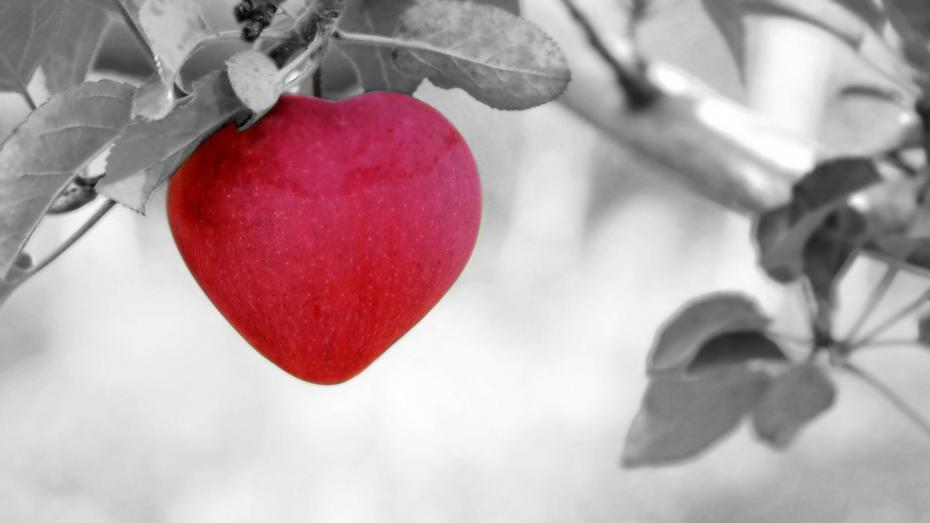 Corazón