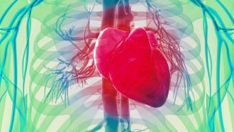 XXXVI Curso de Arritmias y Electrofisiología Clinica Interpretación de casos clínicos en tiempo real