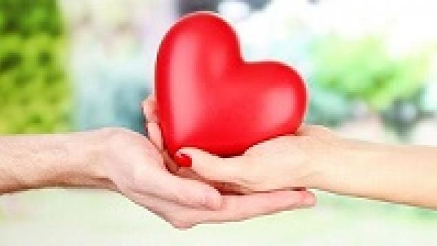 donación órganos 