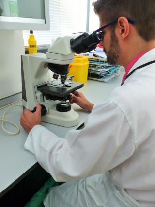 Microscopio de luz polarizada. Sección de Reumatología. Hospital Universitario Infanta Leonor