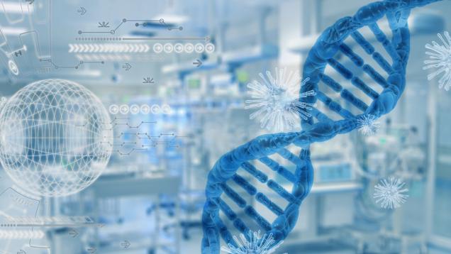 Investigación