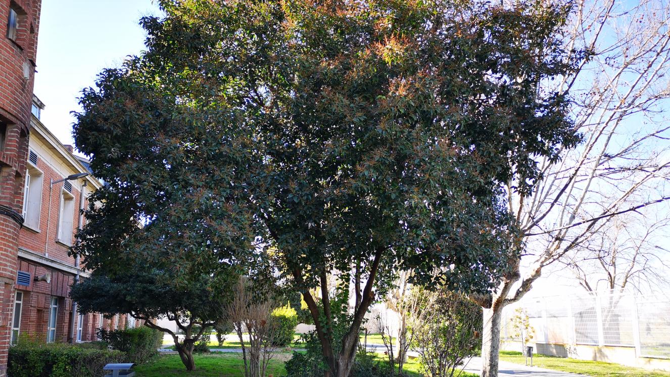 Jardín. Unidad Hospitalaria de Tratamiento y Rehabilitación 2