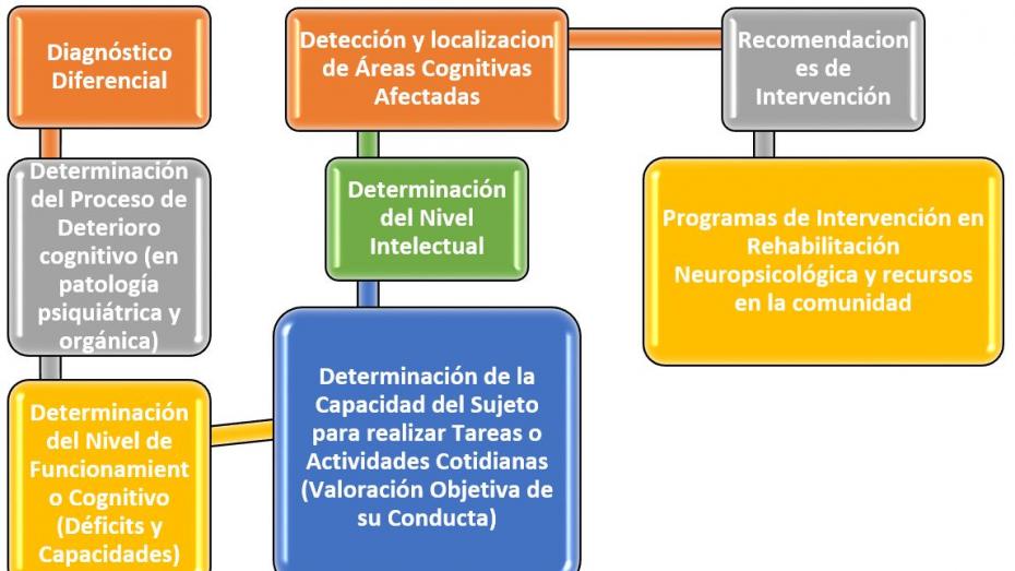Prestaciones de la Unidad de Neuropsicología