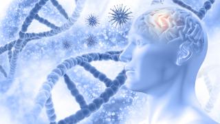 Neurologia