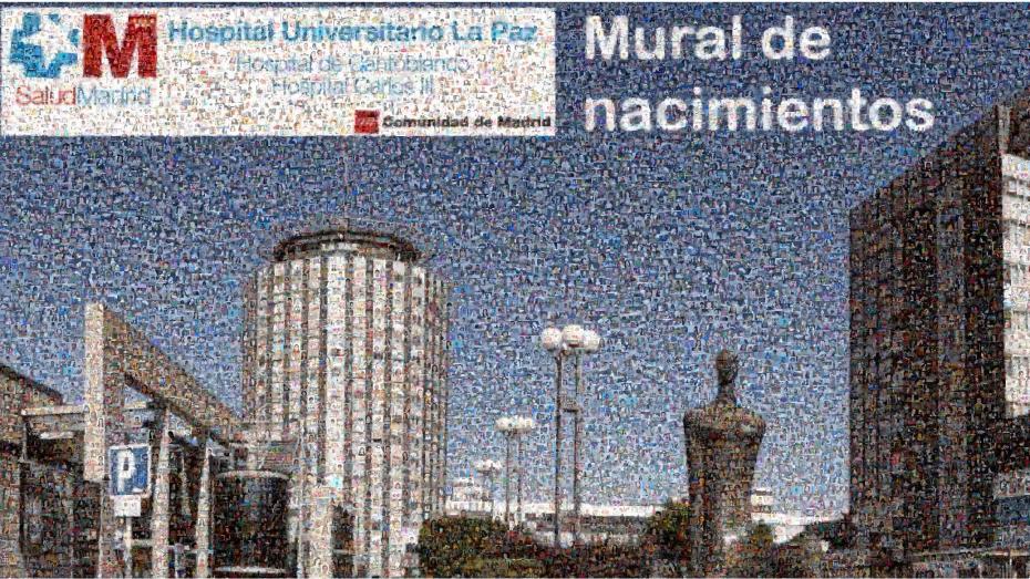 mural nacimientos