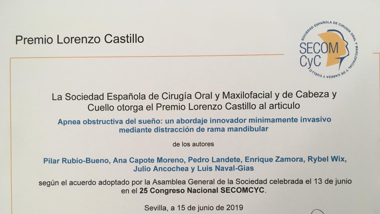 Premio Lorenzo Castillo-P.Rubio 2019