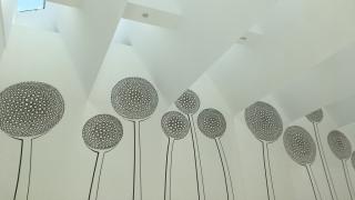 lucernarias