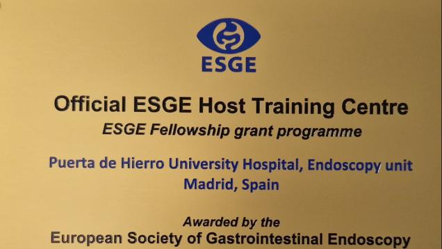 ESGE Fellowship Grant Programme