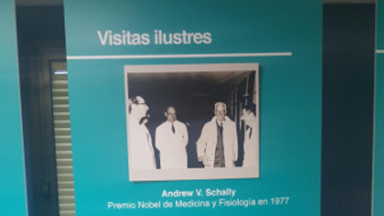 El paseo de los hitos: Galería de imágenes